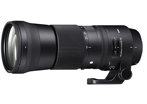 Sigma 150-600 lens for Canon